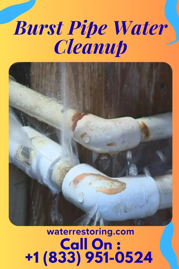 Burst Pipe Water Cleanup in Horntown, OK