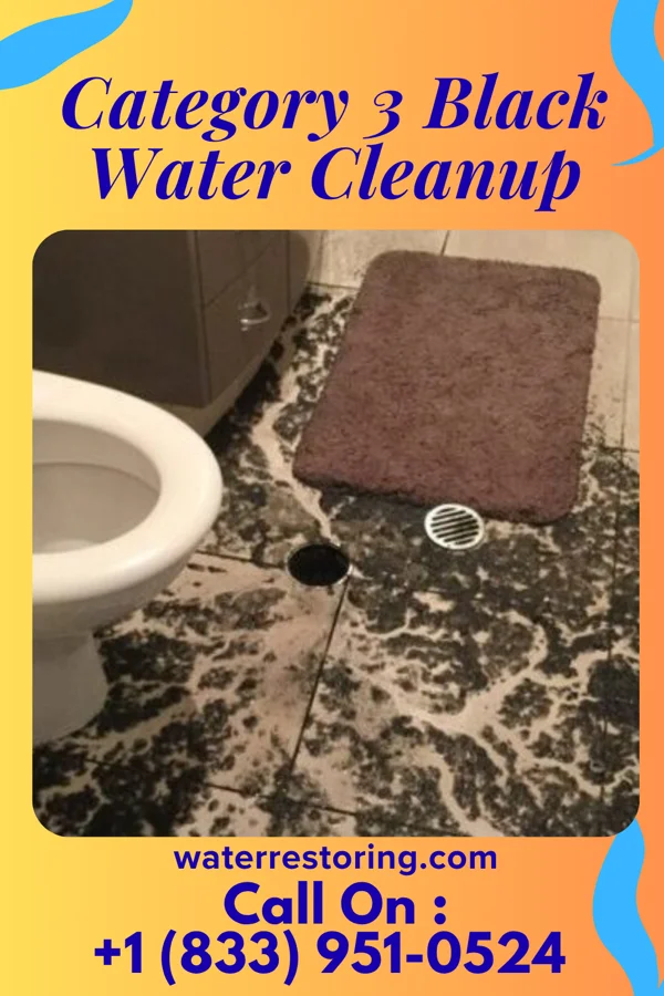 Category 3 Black Water Cleanup in Horntown, OK