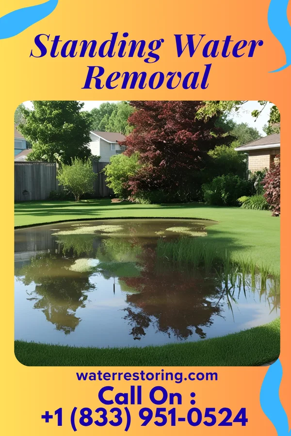 Standing Water Removal in Horntown, OK